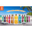 Pack 64 Sabores de Bebidas Bolero