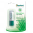 Baume à lèvres hydratant Himalaya 4,5 g