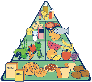 Resultado de imagen de piramide alimentar